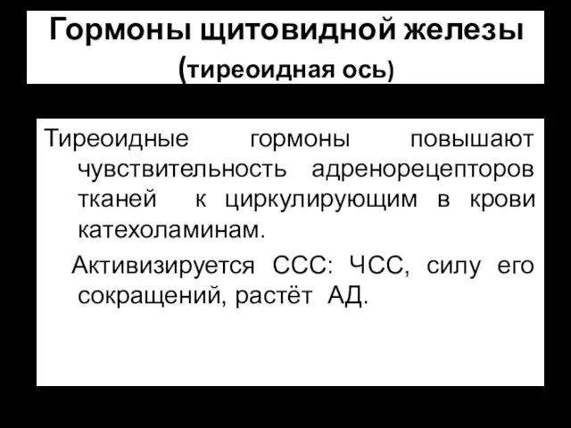 Гормоны щитовидной железы (тиреоидная ось) Тиреоидные гормоны повышают чувствительность адренорецепторов тканей