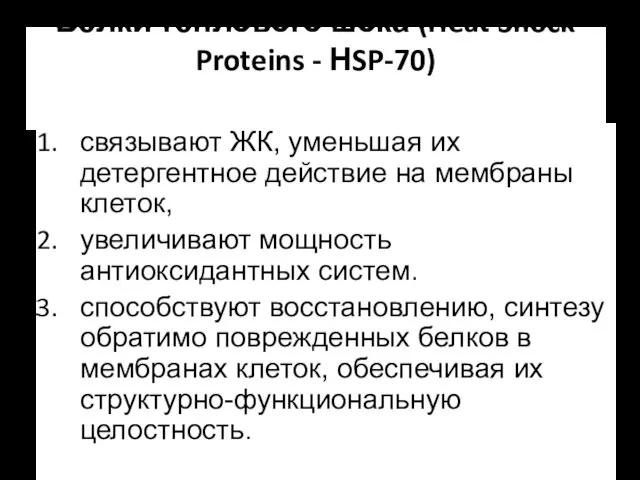 Белки теплового шока (Heat Shock Proteins - НSP-70) связывают ЖК, уменьшая