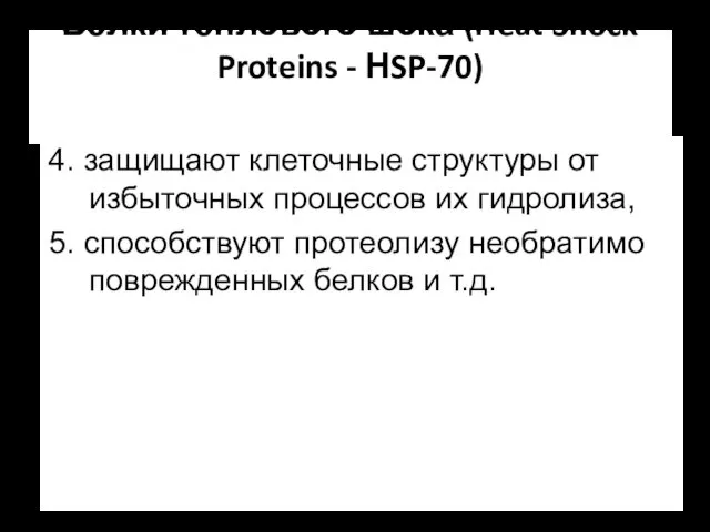 Белки теплового шока (Heat Shock Proteins - НSP-70) 4. защищают клеточные