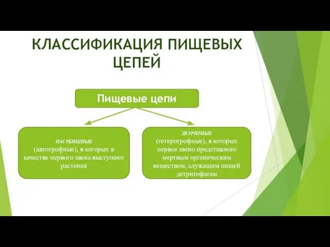 КЛАССИФИКАЦИЯ ПИЩЕВЫХ ЦЕПЕЙ Пищевые цепи пастбищные (автотрофные), в которых в качестве