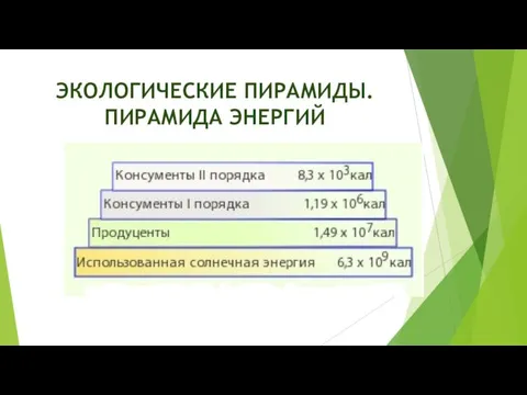 ЭКОЛОГИЧЕСКИЕ ПИРАМИДЫ. ПИРАМИДА ЭНЕРГИЙ