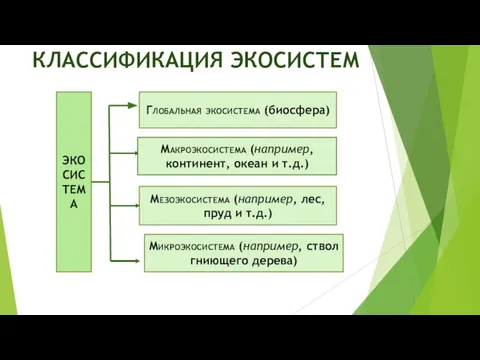 КЛАССИФИКАЦИЯ ЭКОСИСТЕМ ЭКОСИСТЕМА Глобальная экосистема (биосфера) Макроэкосистема (например, континент, океан и