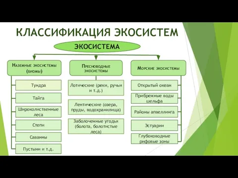 КЛАССИФИКАЦИЯ ЭКОСИСТЕМ Тундра Прибрежные воды шельфа Наземные экосистемы (биомы) Пресноводные экосистемы