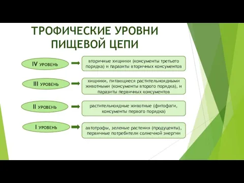 ТРОФИЧЕСКИЕ УРОВНИ ПИЩЕВОЙ ЦЕПИ I уровень II уровень III уровень IV