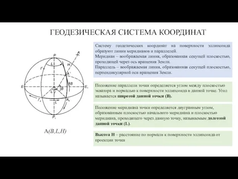 ГЕОДЕЗИЧЕСКАЯ СИСТЕМА КООРДИНАТ Систему геодезических координат на поверхности эллипсоида образуют линии