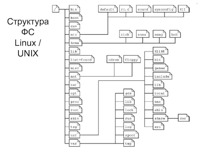 Структура ФС Linux / UNIX