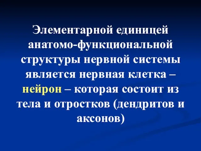 Элементарной единицей анатомо-функциональной структуры нервной системы является нервная клетка –нейрон –