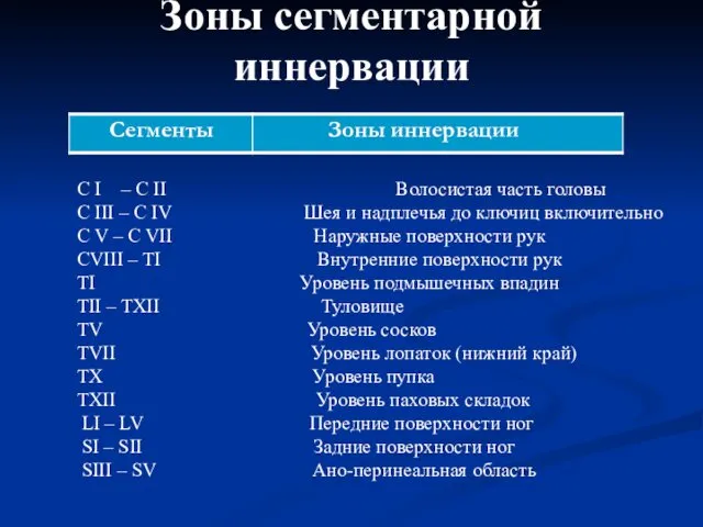 Зоны сегментарной иннервации С I – С II Волосистая часть головы