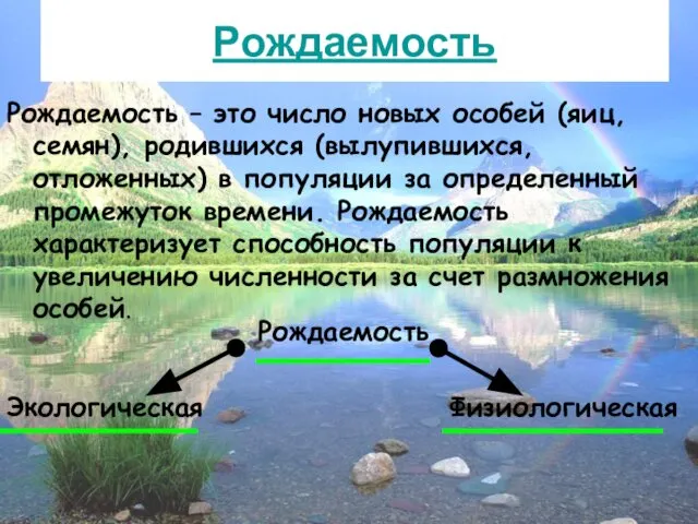 Рождаемость Рождаемость – это число новых особей (яиц, семян), родившихся (вылупившихся,