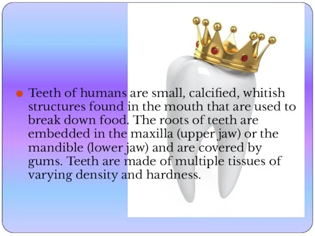 Teeth of humans are small, calcified, whitish structures found in the