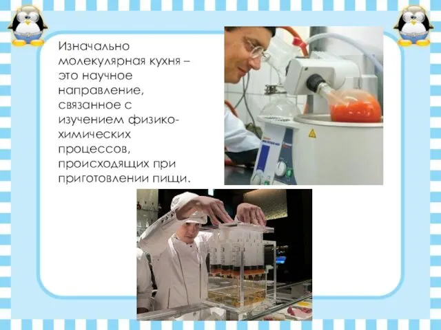 Изначально молекулярная кухня – это научное направление, связанное с изучением физико-химических процессов, происходящих при приготовлении пищи.