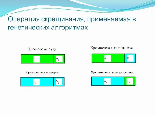 Операция скрещивания, применяемая в генетических алгоритмах a1 a2 Хромосома отца b1