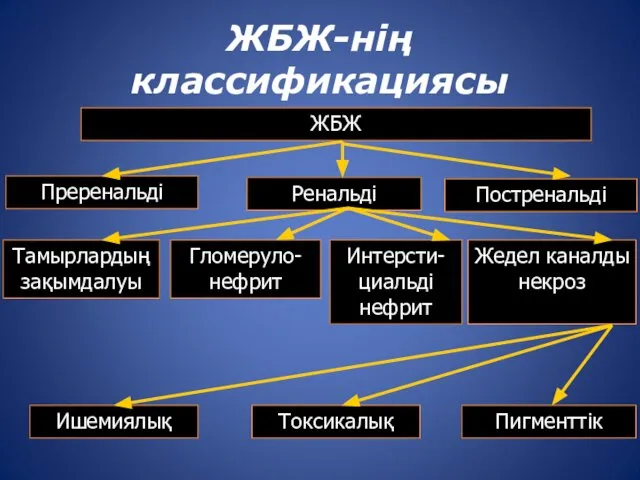 ЖБЖ-нің классификациясы ЖБЖ Преренальді Ренальді Постренальді Тамырлардың зақымдалуы Гломеруло-нефрит Интерсти-циальді нефрит