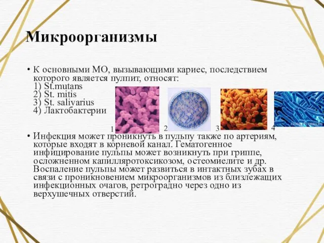 Микроорганизмы К основными МО, вызывающими кариес, последствием которого является пулпит, относят: