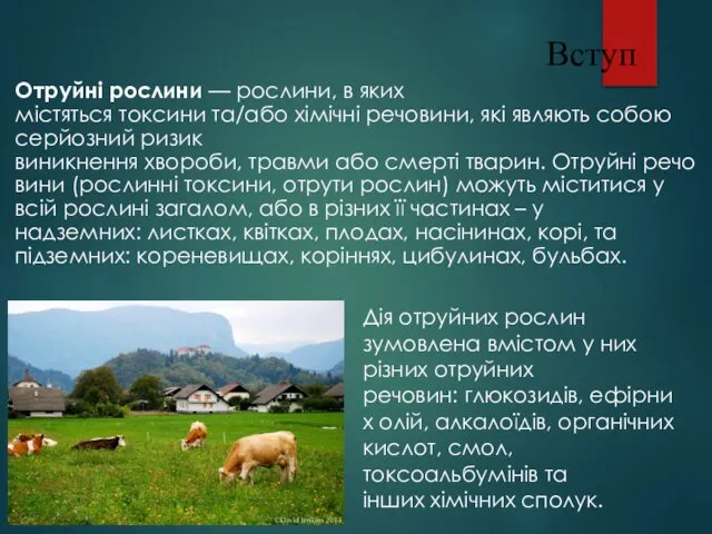 Вступ Отруйні рослини — рослини, в яких містяться токсини та/або хімічні