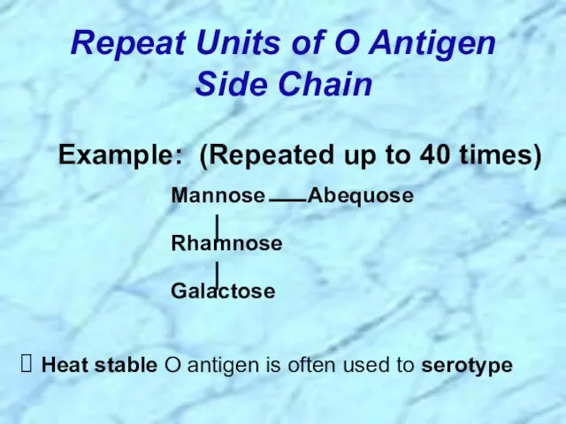 Repeat Units of O Antigen Side Chain Heat stable O antigen is often used to serotype