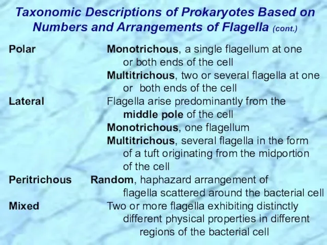 Polar Monotrichous, a single flagellum at one or both ends of