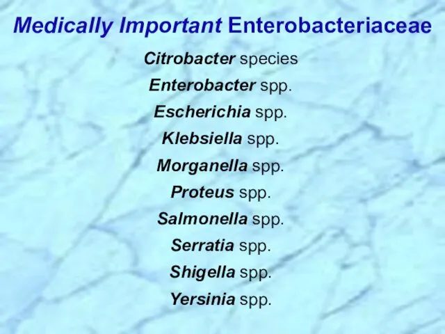 Citrobacter species Enterobacter spp. Escherichia spp. Klebsiella spp. Morganella spp. Proteus