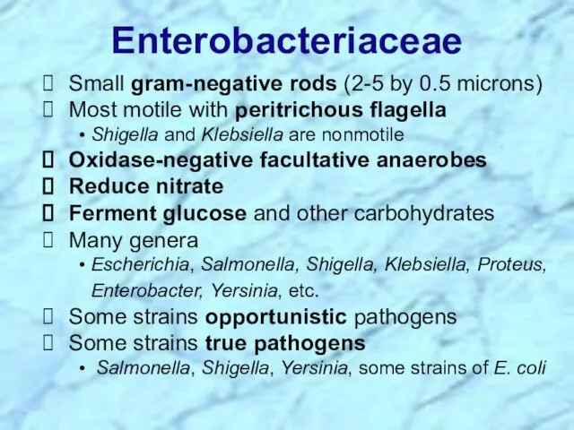 Enterobacteriaceae Small gram-negative rods (2-5 by 0.5 microns) Most motile with