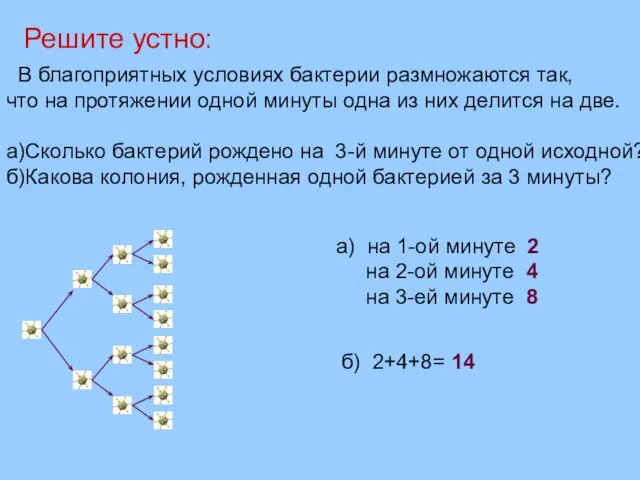 В благоприятных условиях бактерии размножаются так, что на протяжении одной минуты