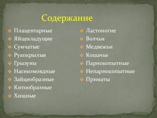 Содержание Плацентарные Яйцекладущие Сумчатые Рукокрылые Грызуны Насекомоядные Зайцеобразные Китообразные Хищные Ластоногие