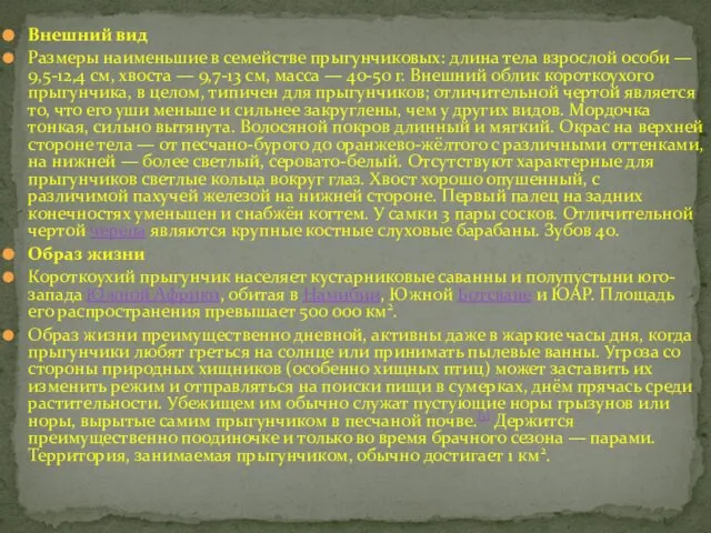 Внешний вид Размеры наименьшие в семействе прыгунчиковых: длина тела взрослой особи