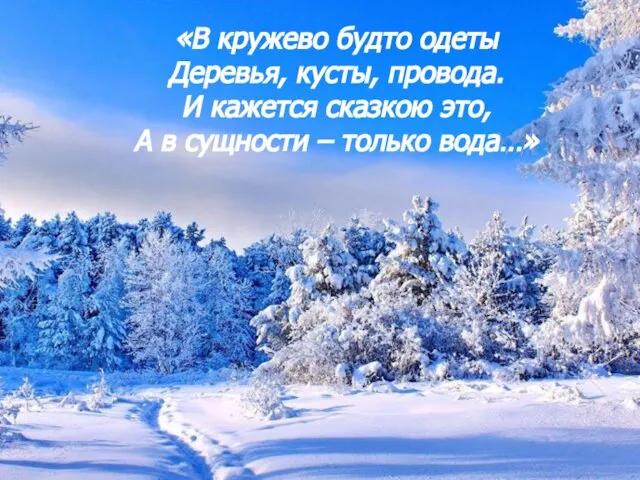 «В кружево будто одеты Деревья, кусты, провода. И кажется сказкою это,