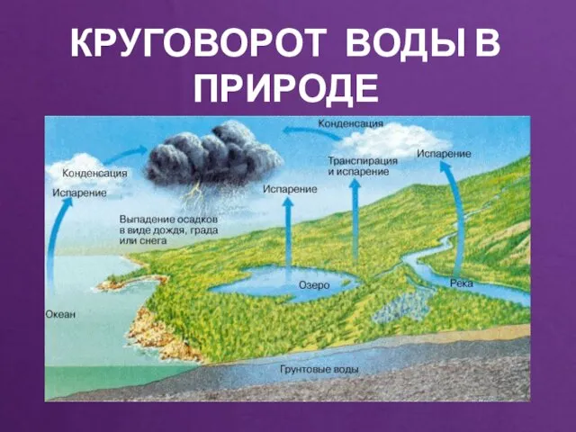 КРУГОВОРОТ ВОДЫ В ПРИРОДЕ