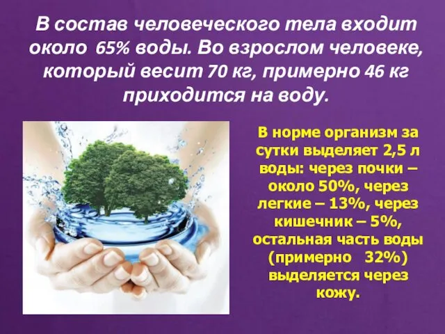 В состав человеческого тела входит около 65% воды. Во взрослом человеке,