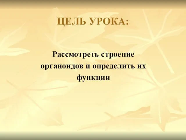 ЦЕЛЬ УРОКА: Рассмотреть строение органоидов и определить их функции