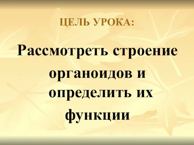 ЦЕЛЬ УРОКА: Рассмотреть строение органоидов и определить их функции