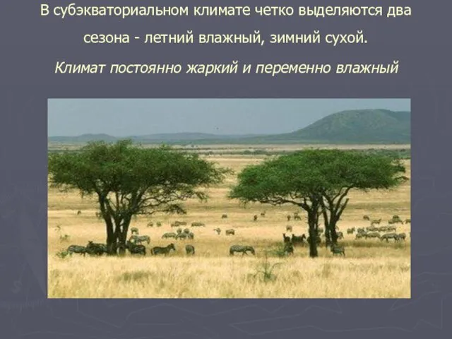 В субэкваториальном климате четко выделяются два сезона - летний влажный, зимний