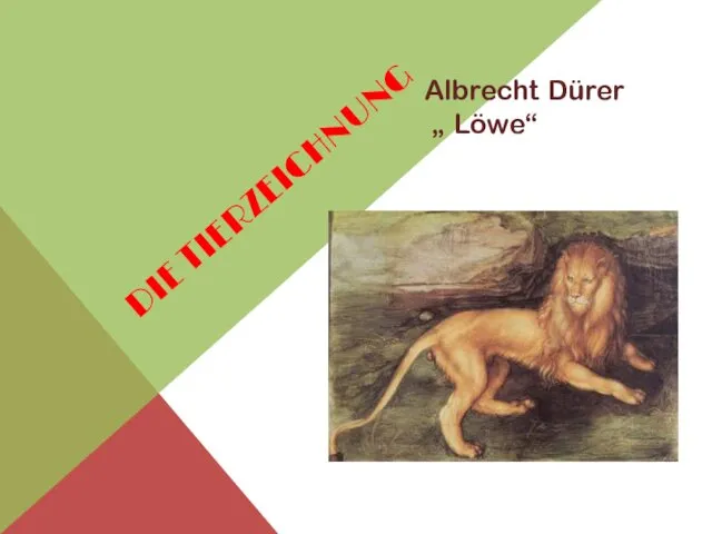 DIE TIERZEICHNUNG Albrecht Dürer „ Löwe“