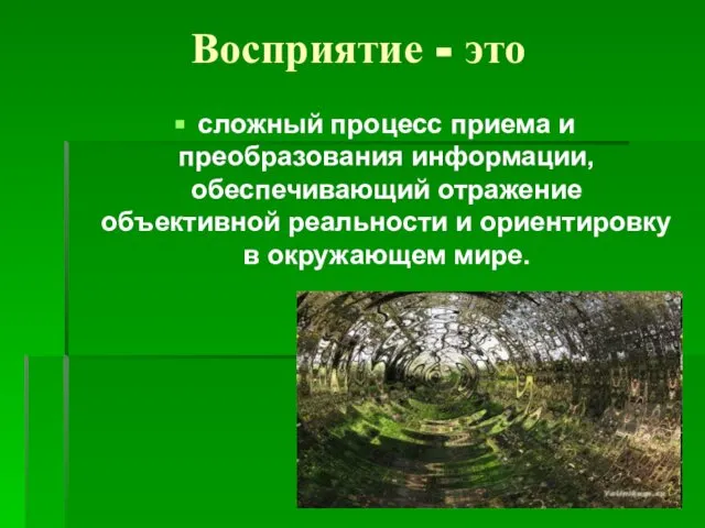 Восприятие - это сложный процесс приема и преобразования информации, обеспечивающий отражение