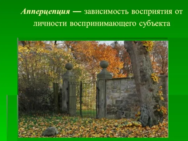 Апперцепция — зависимость восприятия от личности воспринимающего субъекта