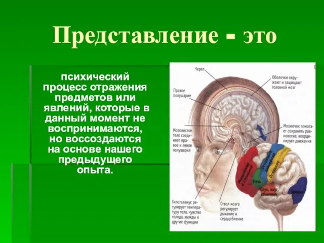 Представление - это психический процесс отражения предметов или явлений, которые в