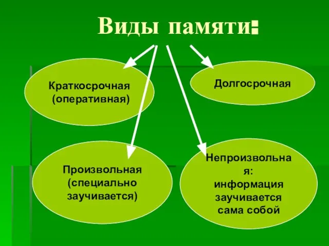 Виды памяти: Краткосрочная (оперативная) Долгосрочная Произвольная (специально заучивается) Непроизвольная: информация заучивается сама собой