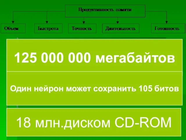 125 000 000 мегабайтов Один нейрон может сохранить 105 битов 18 млн.диском CD-ROM