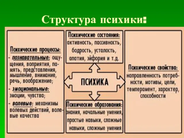 Структура психики: