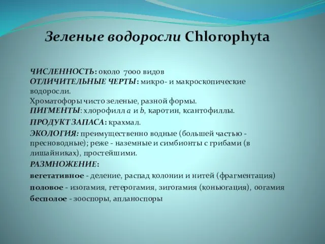 Зеленые водоросли Chlorophyta ЧИСЛЕННОСТЬ: около 7000 видов ОТЛИЧИТЕЛЬНЫЕ ЧЕРТЫ: микро- и