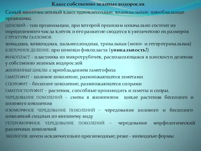 Класс собственно зеленые водоросли Самый многочисленный класс одноклеточные, колониальные, ценобиальные организмы.