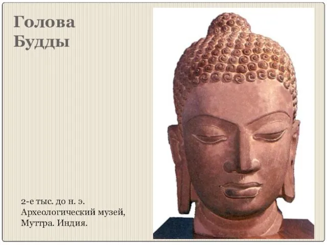 Голова Будды 2-е тыс. до н. э. Археологический музей, Муттра. Индия.