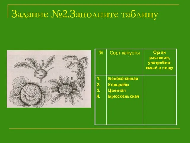 Задание №2.Заполните таблицу