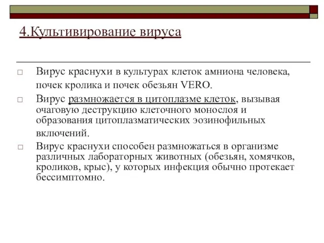 4.Культивирование вируса Вирус краснухи в культурах клеток амниона человека, почек кролика