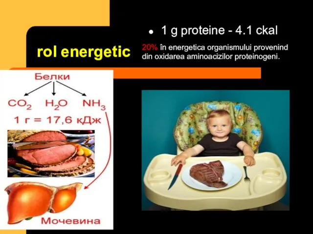 rol energetic 1 g proteine - 4.1 ckal 20% în energetica