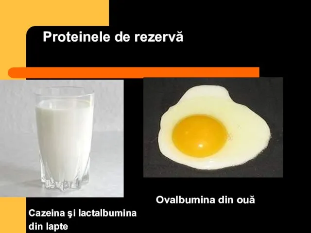 Proteinele de rezervă Cazeina şi lactalbumina din lapte Ovalbumina din ouă