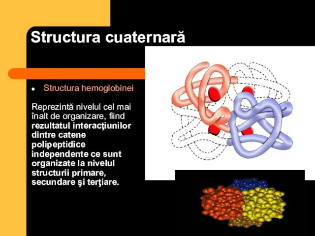 Structura cuaternară Structura hemoglobinei Reprezintă nivelul cel mai înalt de organizare,