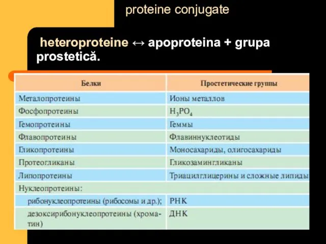 heteroproteine ↔ apoproteina + grupa prostetică. proteine conjugate