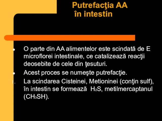 Putrefacţia AA în intestin O parte din AA alimentelor este scindată