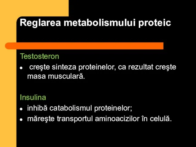 Reglarea metabolismului proteic Testosteron creşte sinteza proteinelor, ca rezultat creşte masa